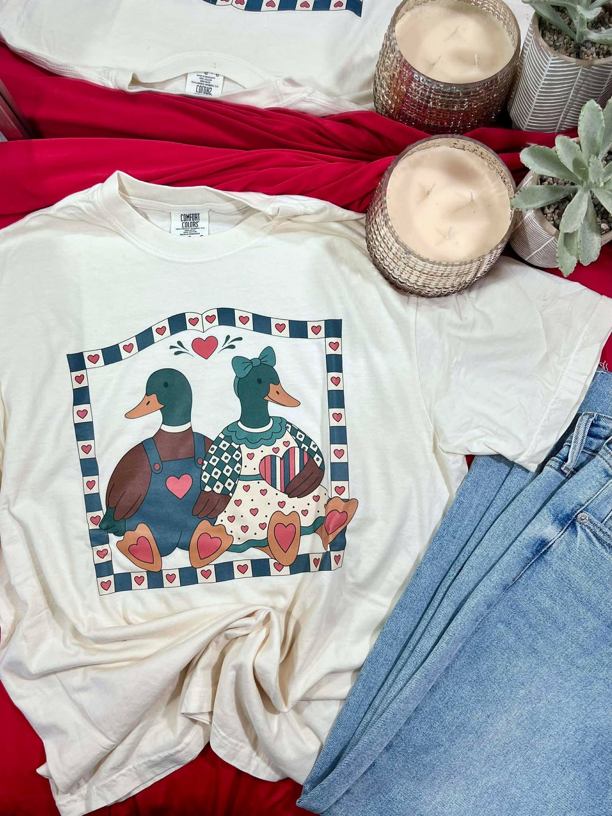 Mallard Duck Couple With Retro Border DTF Design
