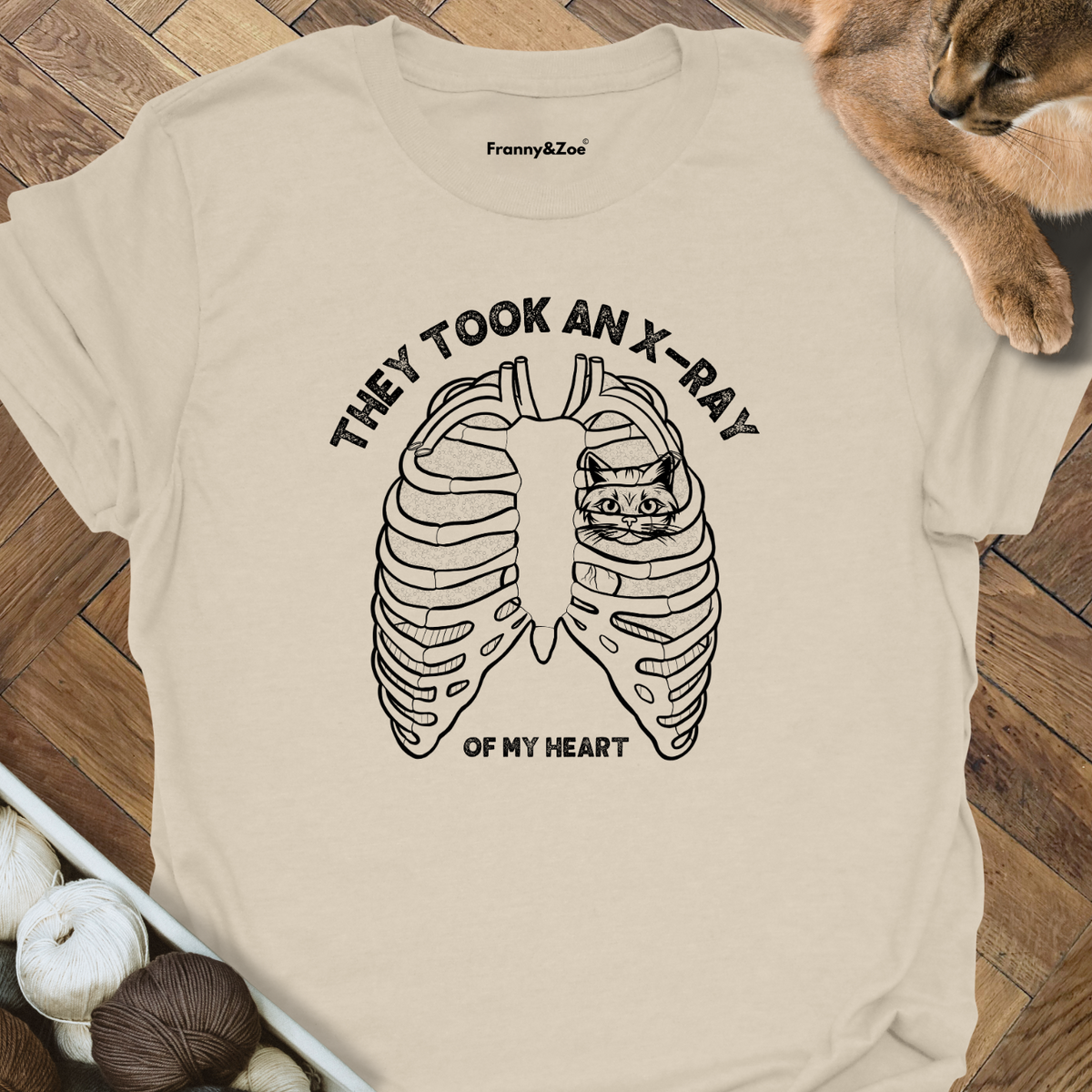 X-Ray Cat product image 1