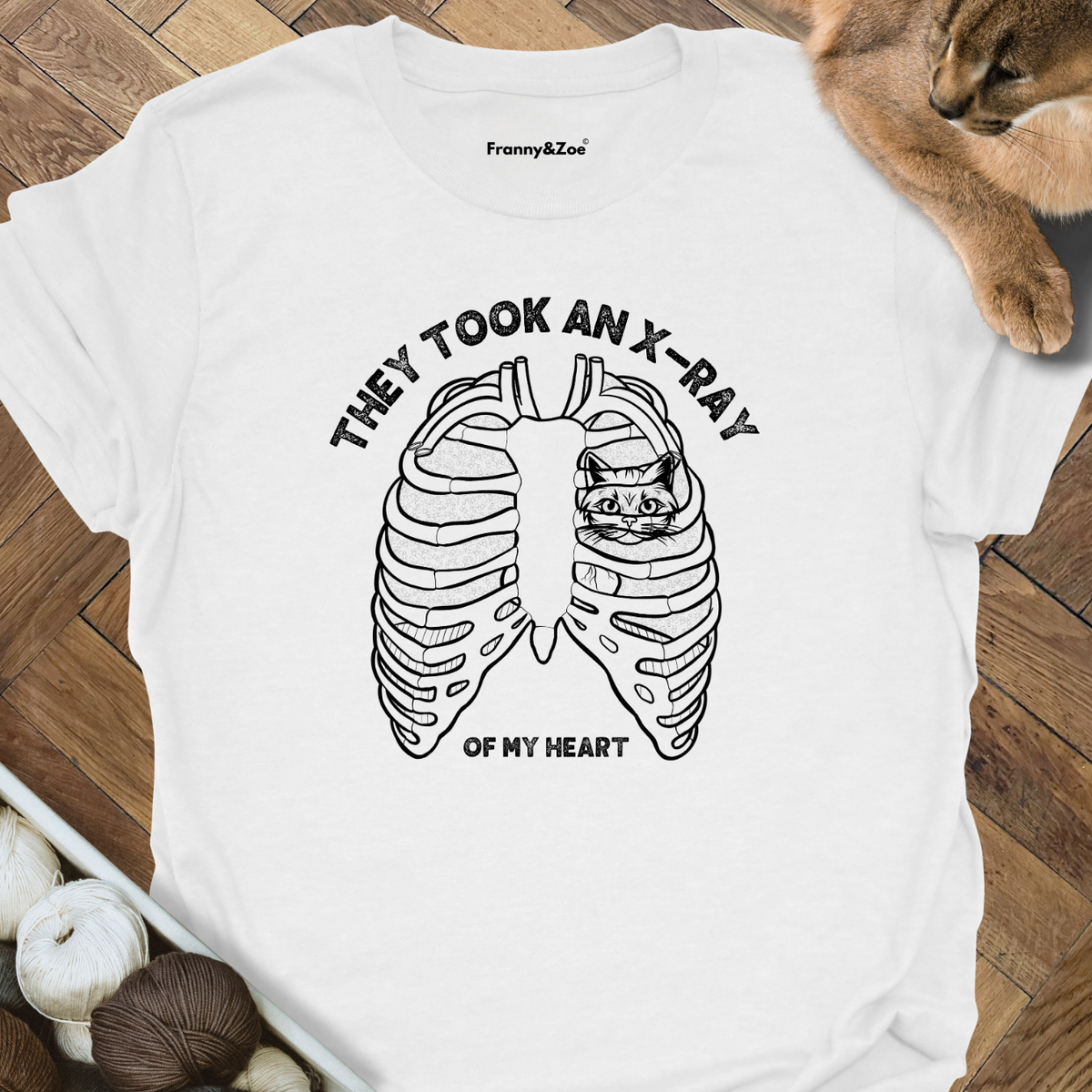 X-Ray Cat product image 3