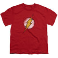 JLA - Destroyed Flash Logo Youth Short Sleeve product image 1