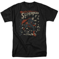 Cotton Soul DC Comics Superman Japan Adult Regular Fit product image 1