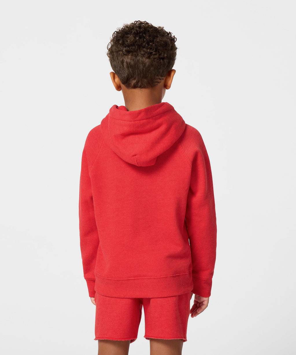 Youth Atlanta Falcons Classic Hoodie product image 4