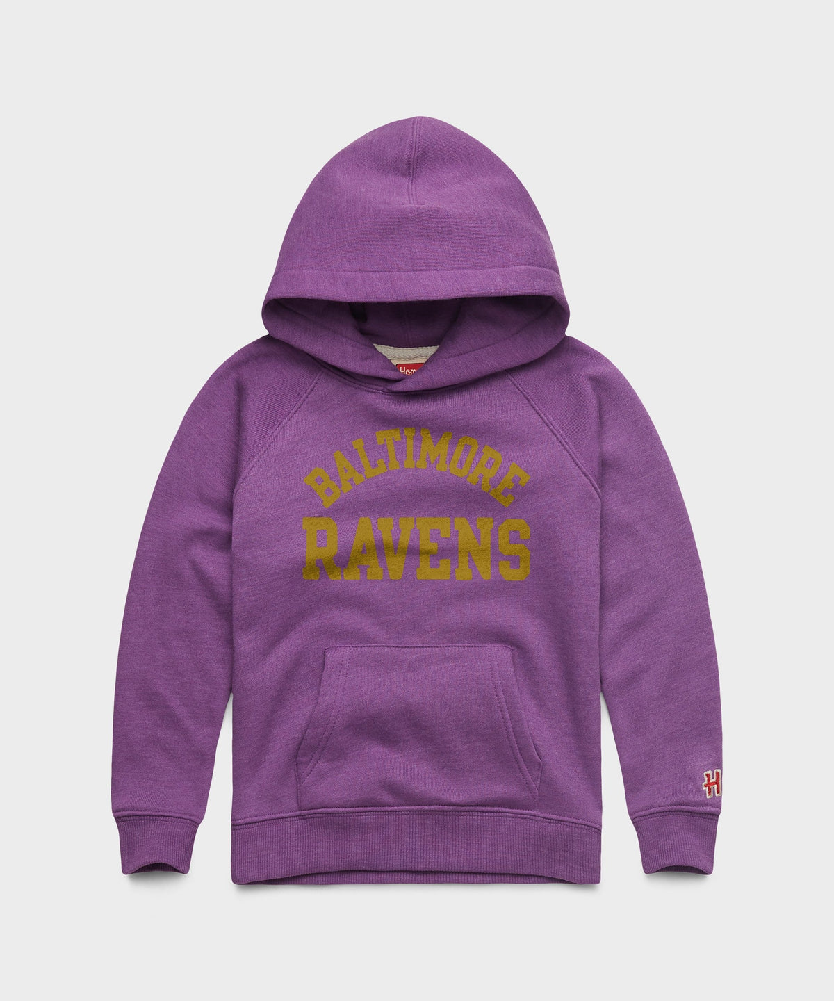 Youth Baltimore Ravens Classic Hoodie product image 1