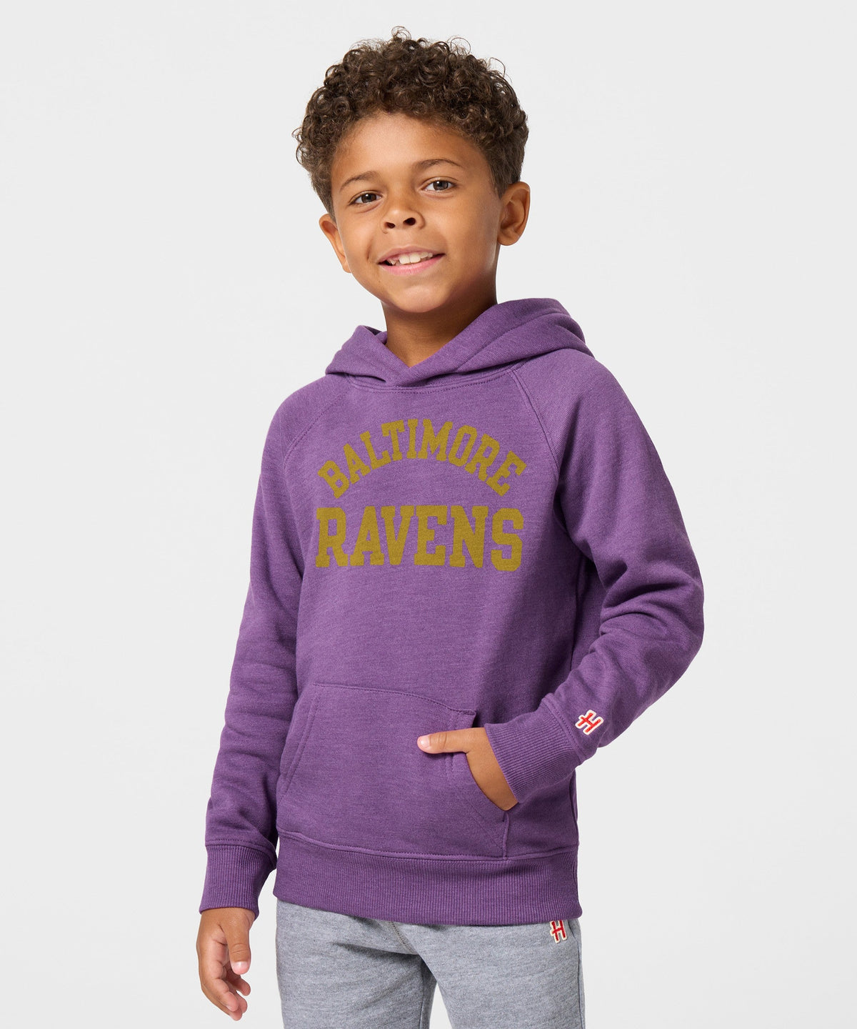 Youth Baltimore Ravens Classic Hoodie product image 3