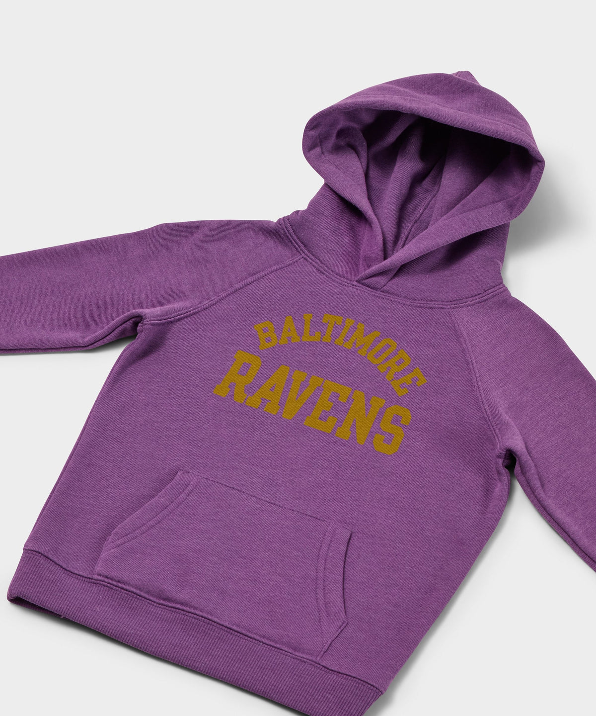 Youth Baltimore Ravens Classic Hoodie product image 2