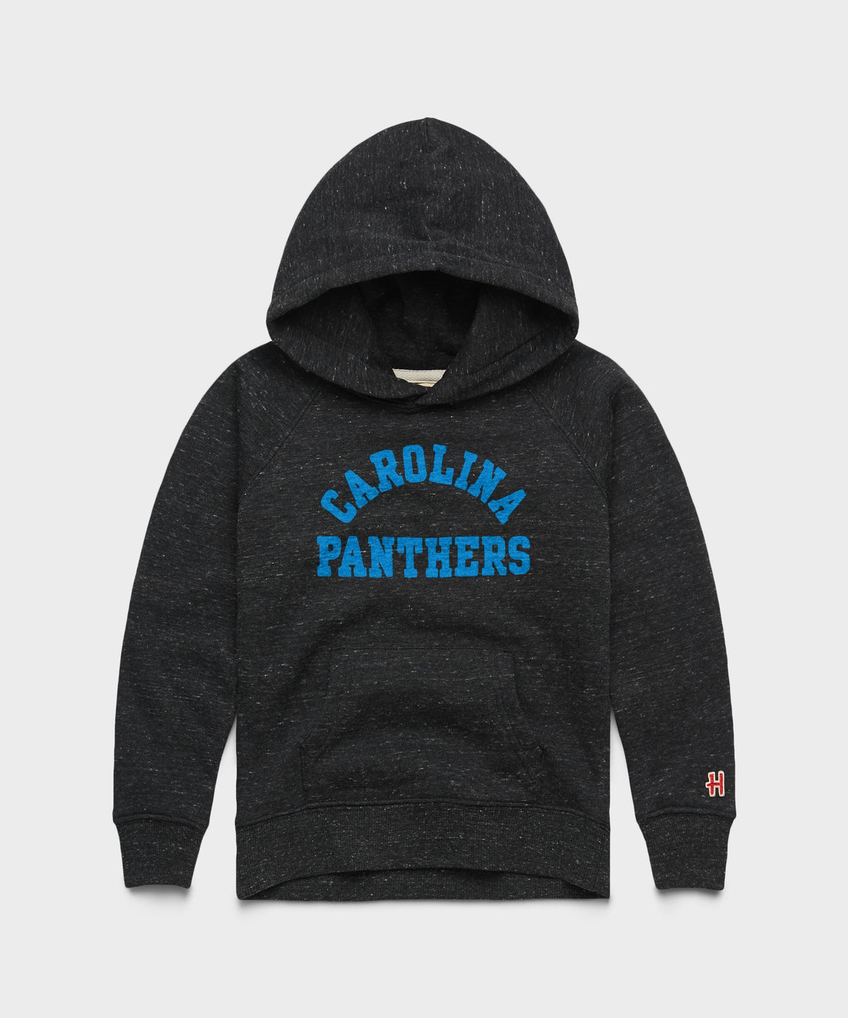 Youth Carolina Panthers Classic Hoodie product image 1