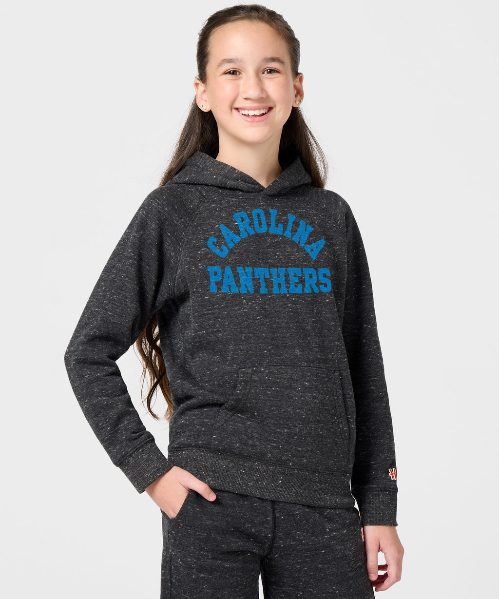 Youth Carolina Panthers Classic Hoodie product image 3