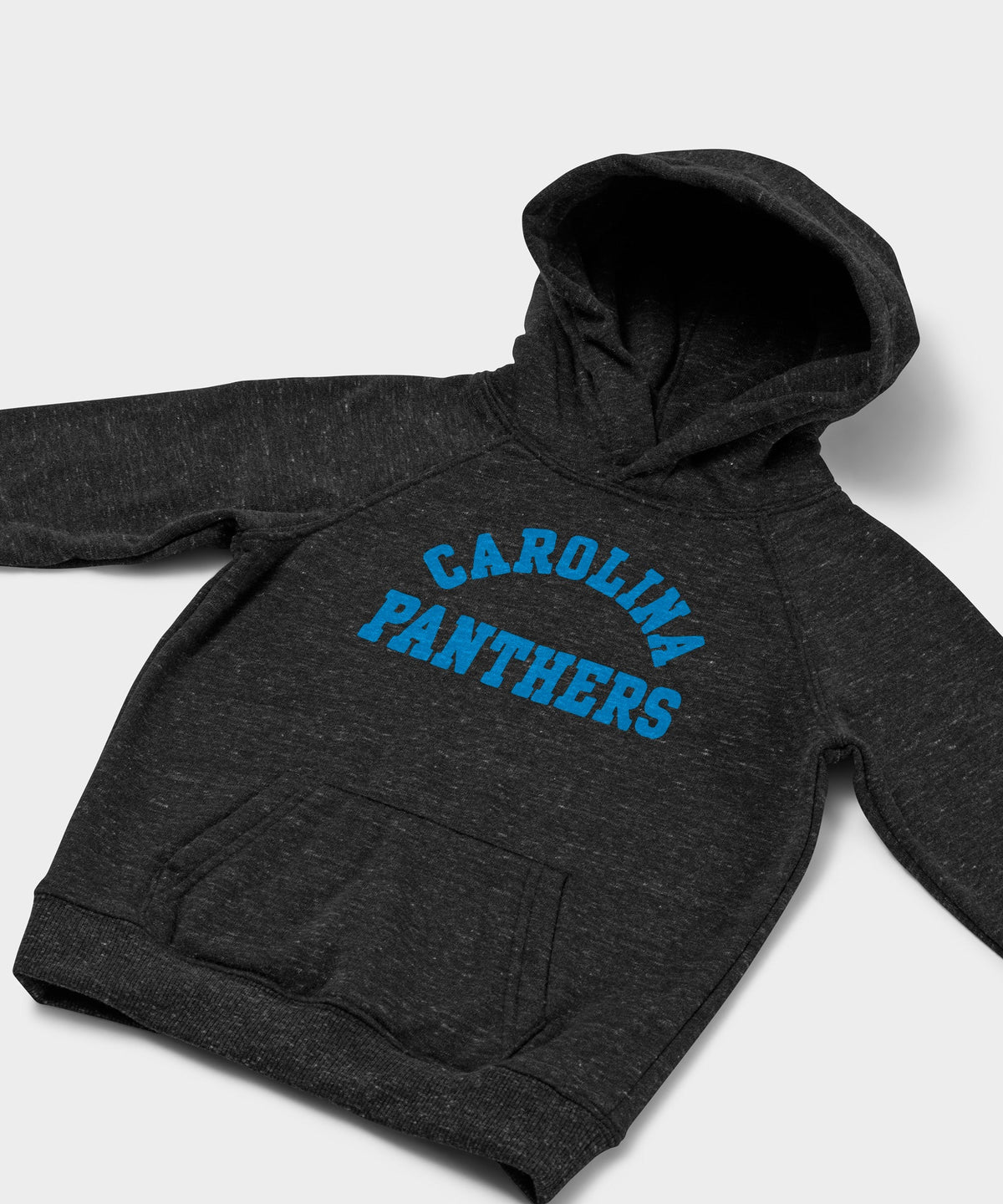 Youth Carolina Panthers Classic Hoodie product image 2