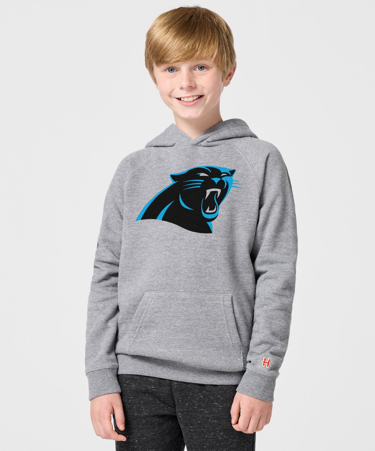 Youth Carolina Panthers '12 Hoodie product image 3