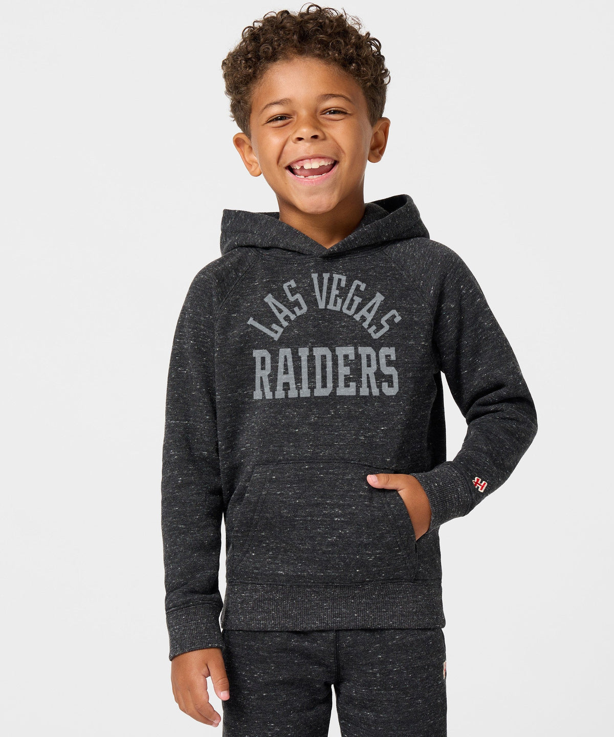 Youth Las Vegas Raiders Classic Hoodie product image 3