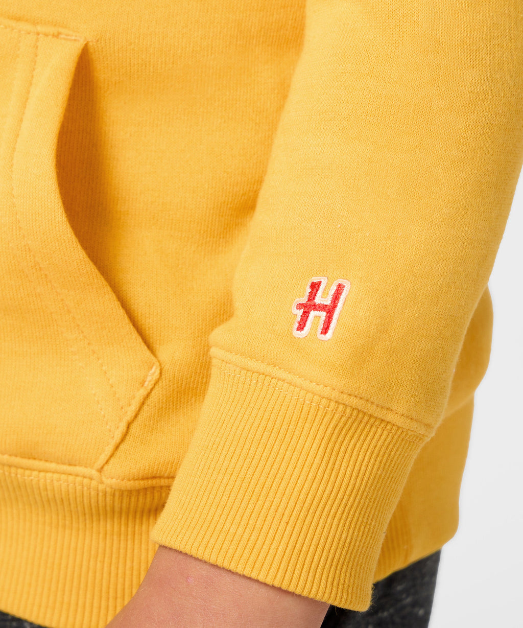 Youth Los Angeles Rams Classic Hoodie product image 5