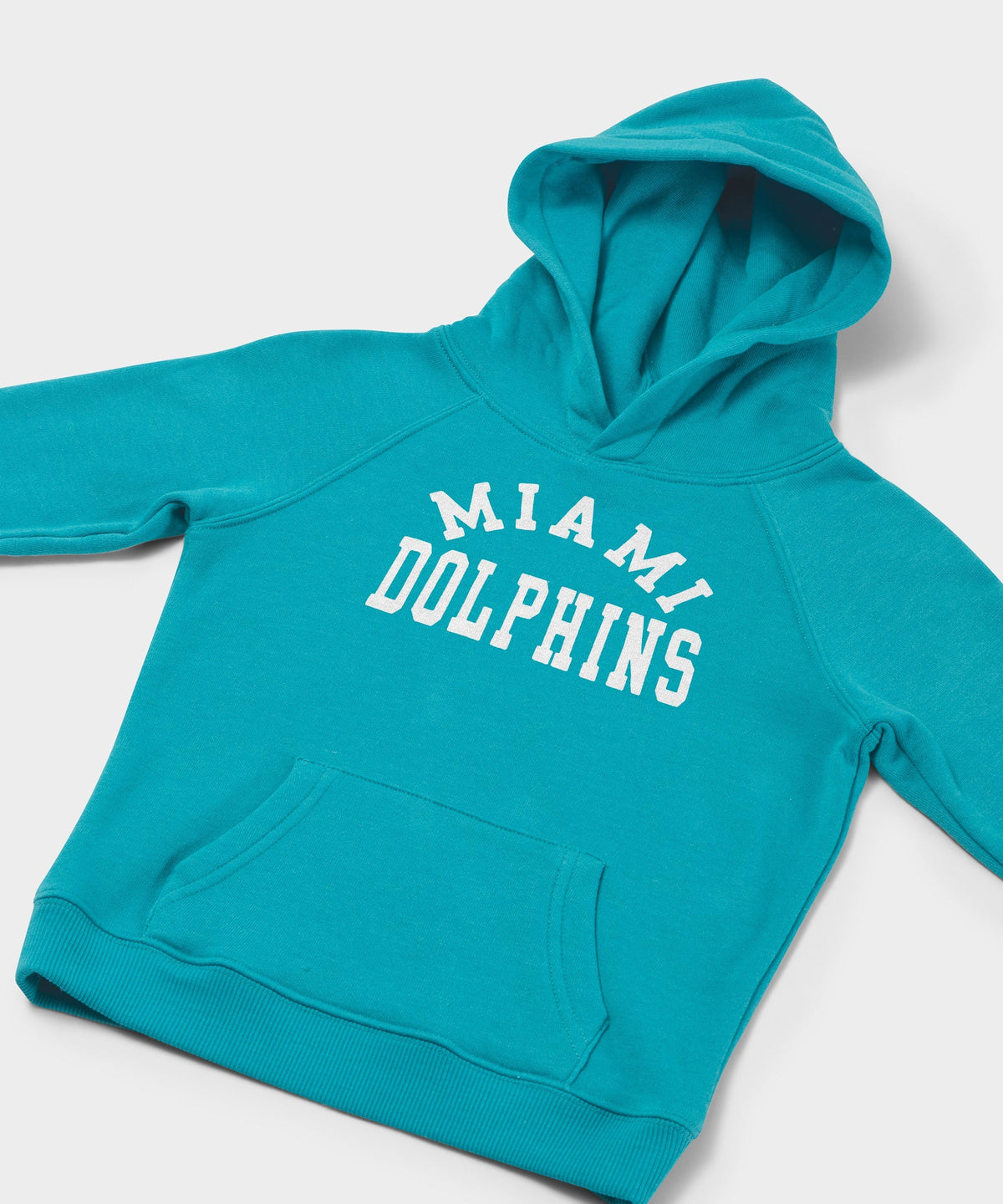 Youth Miami Dolphins Classic Hoodie product image 2