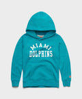 Youth Miami Dolphins Classic Hoodie product image 1
