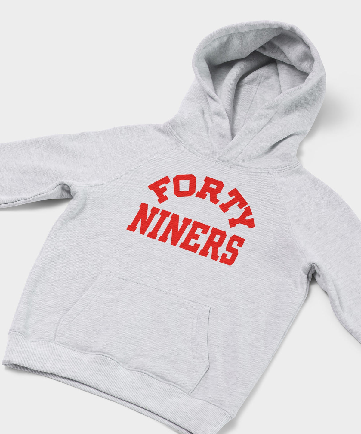 Youth San Francisco 49ers Classic Hoodie product image 2