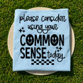 Please Consider Using Your Common Sense | Light Blue product image 1