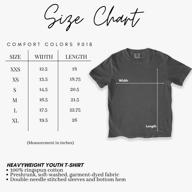 Comfort Colors Disney Frozen Birthday Shirt, Custom Princess Elsa Birthday Tee, Disneyland Family Birthday Matching Shirt