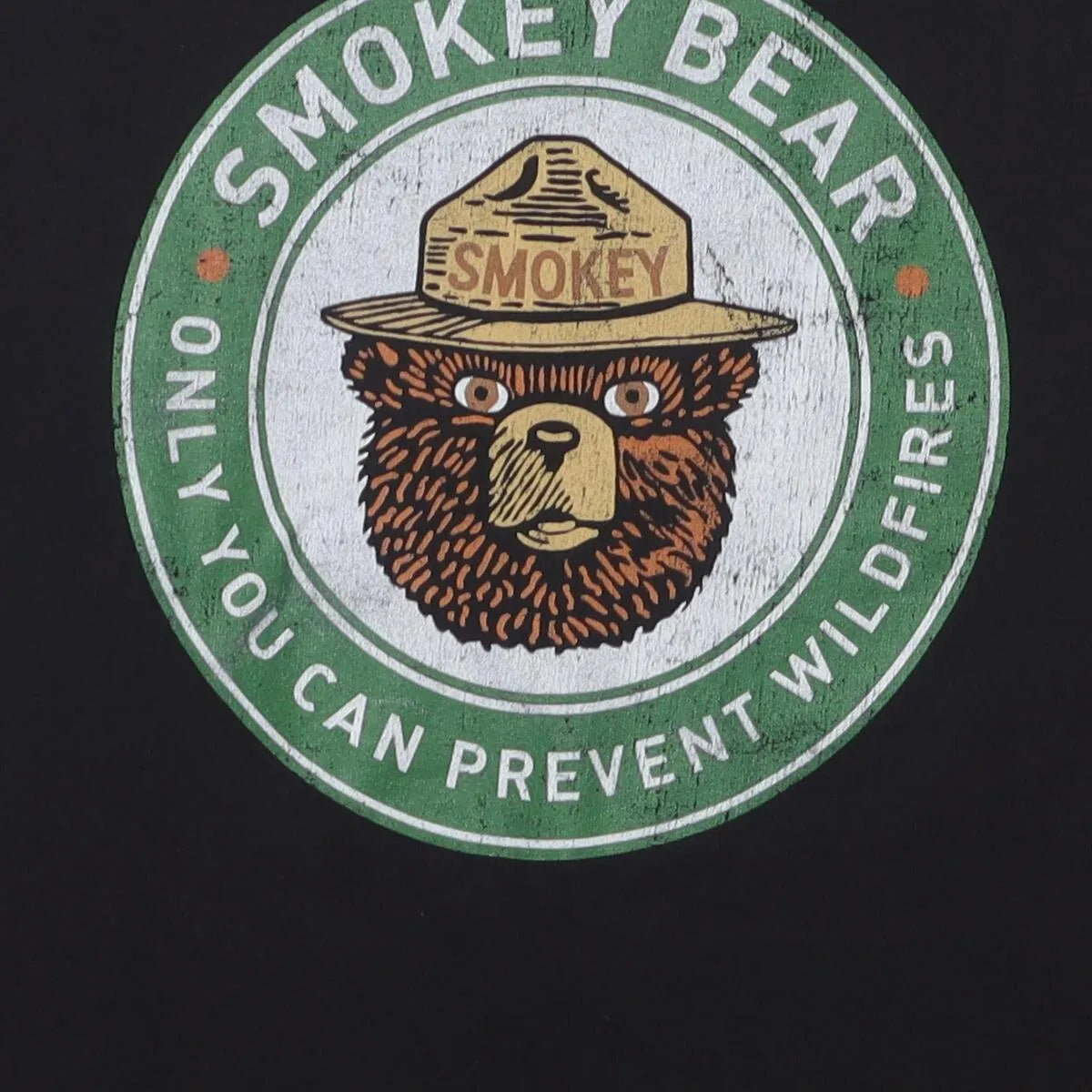 Vintage Modern Smokey Bear "Only You Can Prevent Wildfires" product image 3